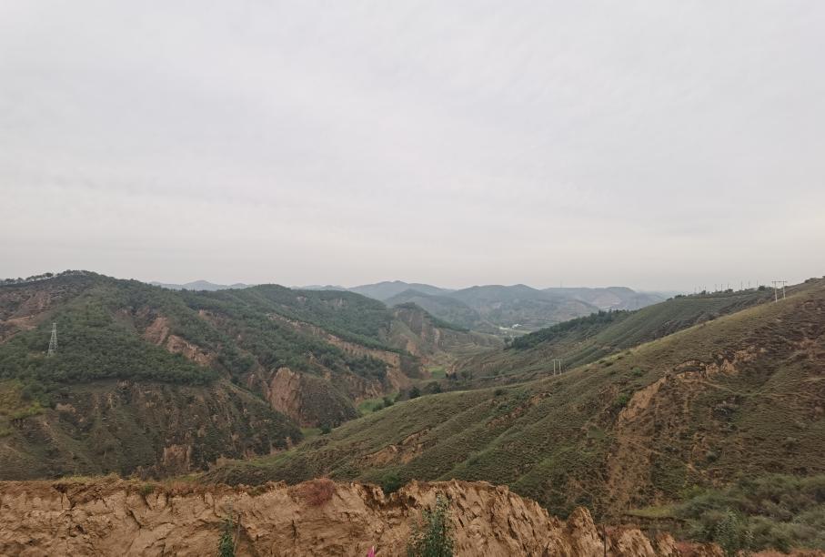 ��׼�����ֵ��CQ9�����ӹٷ���վ���������������������Ч(ͼ1)